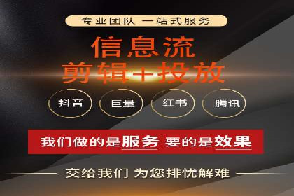 短视频信息流营销实战：小红书的成长之路